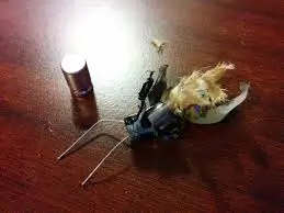 capacitor eletrolitico que explodiu